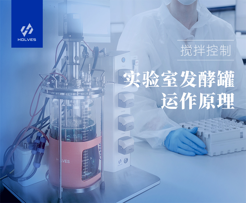 實驗室發(fā)酵罐運作原理之攪拌控制 實驗室發(fā)酵罐運作原理之攪拌控制