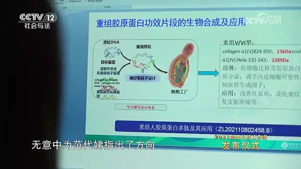 類人膠原蛋白項(xiàng)目 類人膠原蛋白項(xiàng)目
