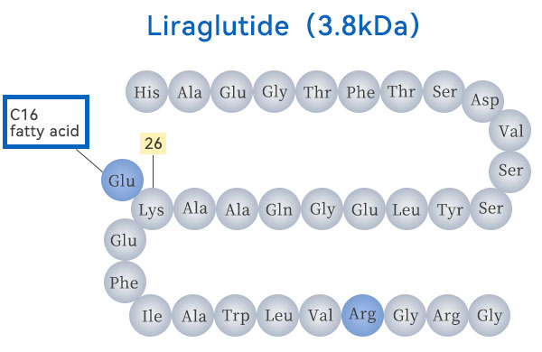 利拉魯肽結(jié)構(gòu)示意圖 利拉魯肽結(jié)構(gòu)示意圖